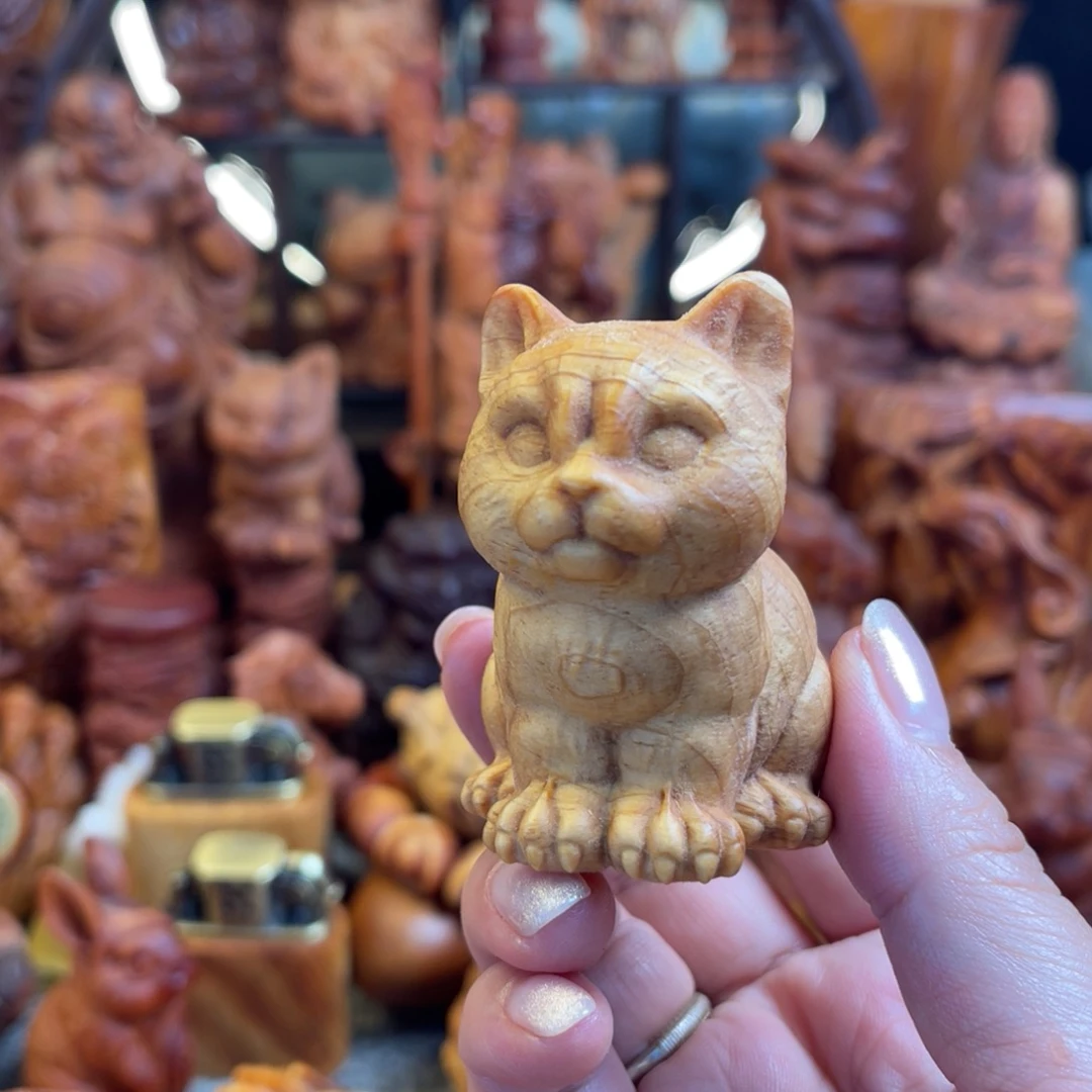 松木（琥珀木）其他小猫