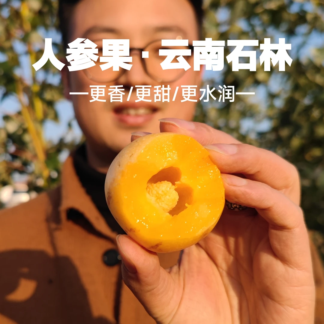 [顺丰包邮]云南石林风化石人参果树上熟新鲜应季孕妇水果清甜爆汁