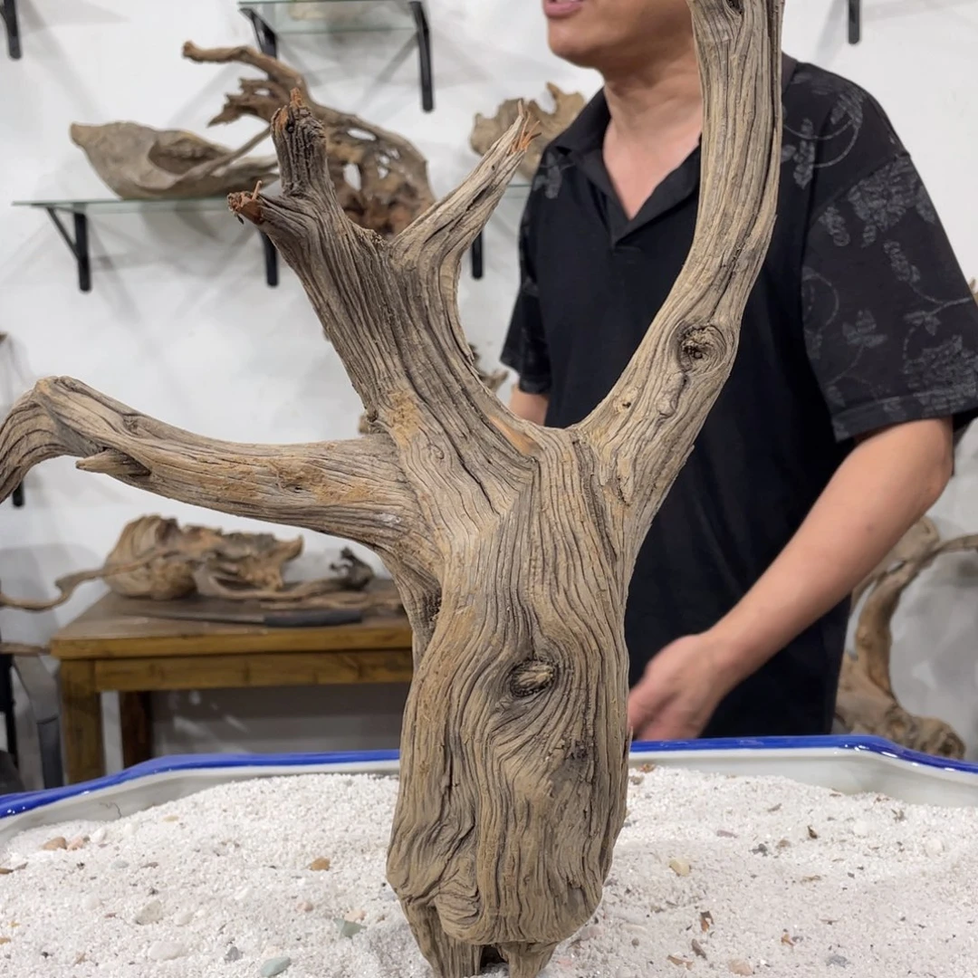 青***上我们都是好孩子呀