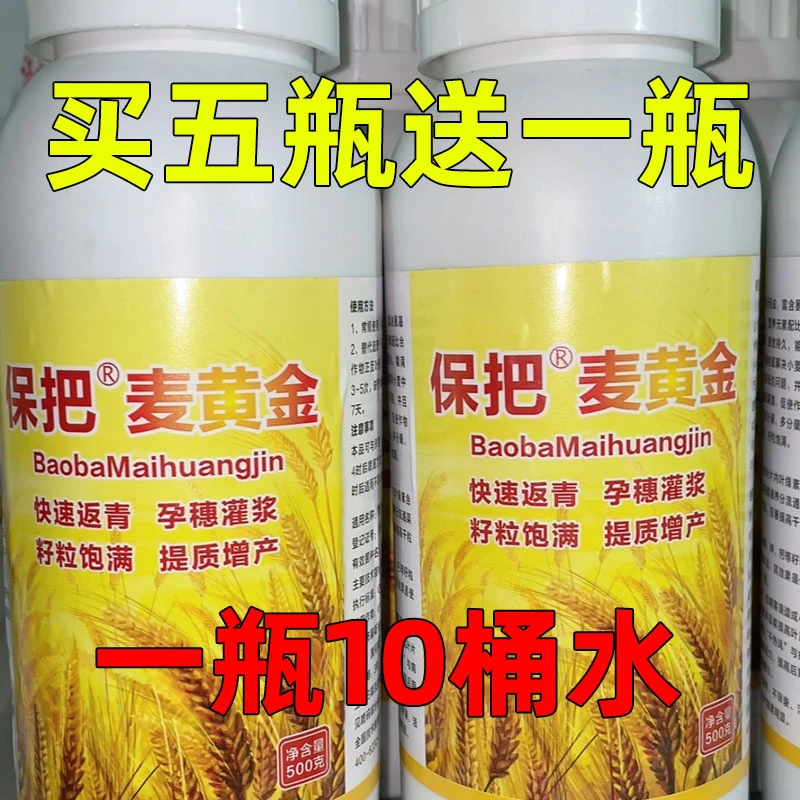 小麦麦黄金专用叶面肥壮苗促茎抗倒伏灌浆籽粒饱满