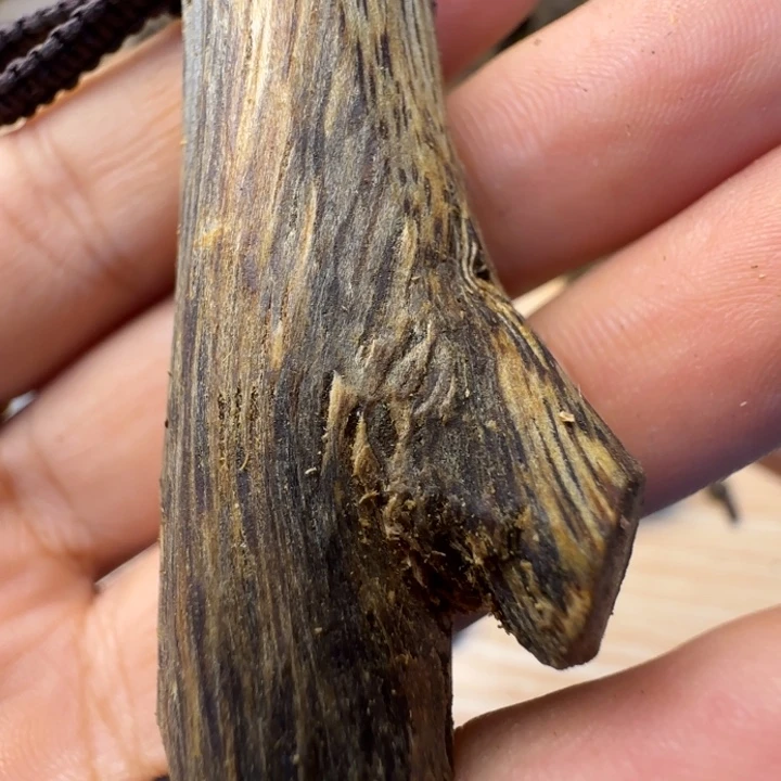 沉香沉香碎屑树钉料
