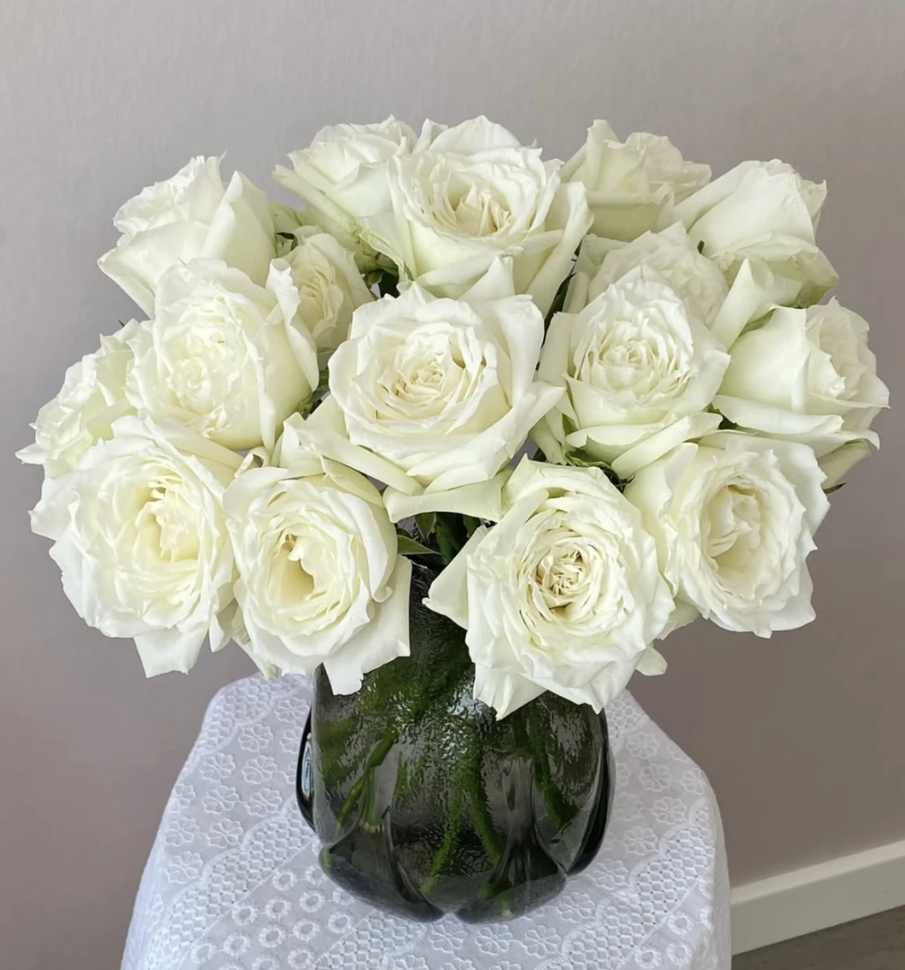 「曼曼」坦尼克15只➕5只防损  鲜花任意满两单包邮拒收不售后