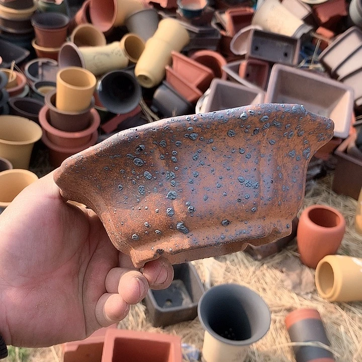 紫砂淘宝上所有优惠券是