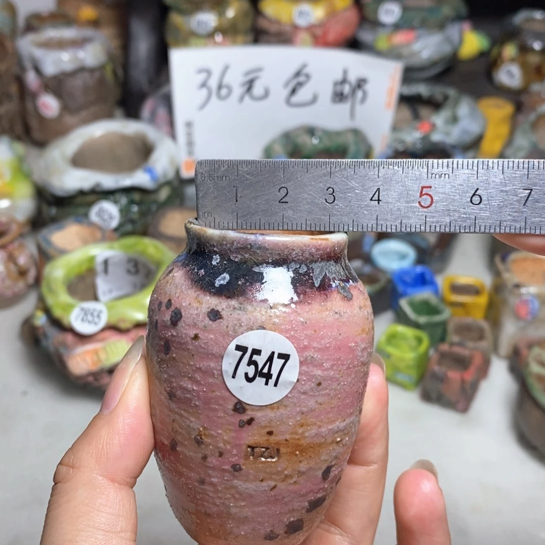 拍5送一个小礼物