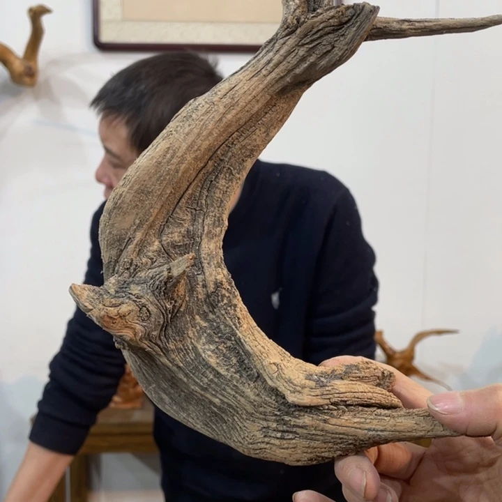 崔我们都是好孩子呀