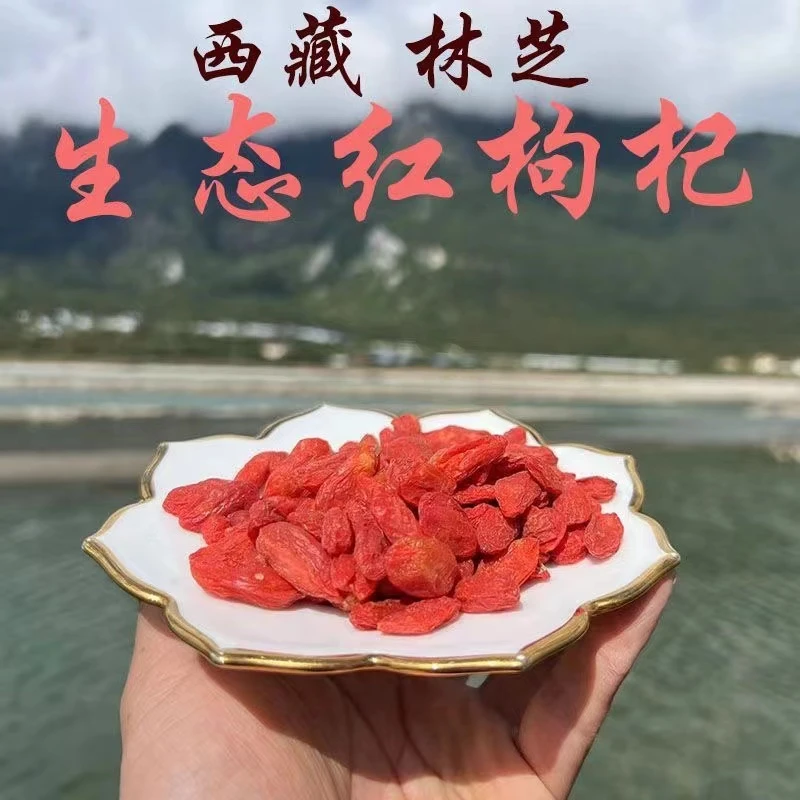 西藏高原林芝枸杞子大颗粒免洗