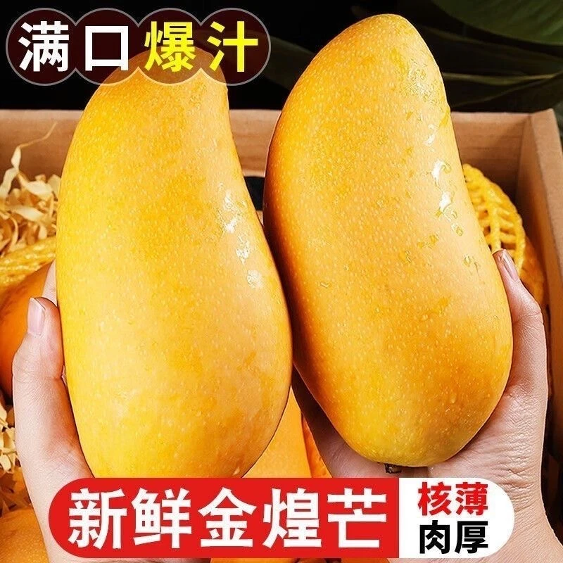 CHIXIANG/侈香【变软食用】海南金煌芒新鲜应季水果香甜多汁多肉