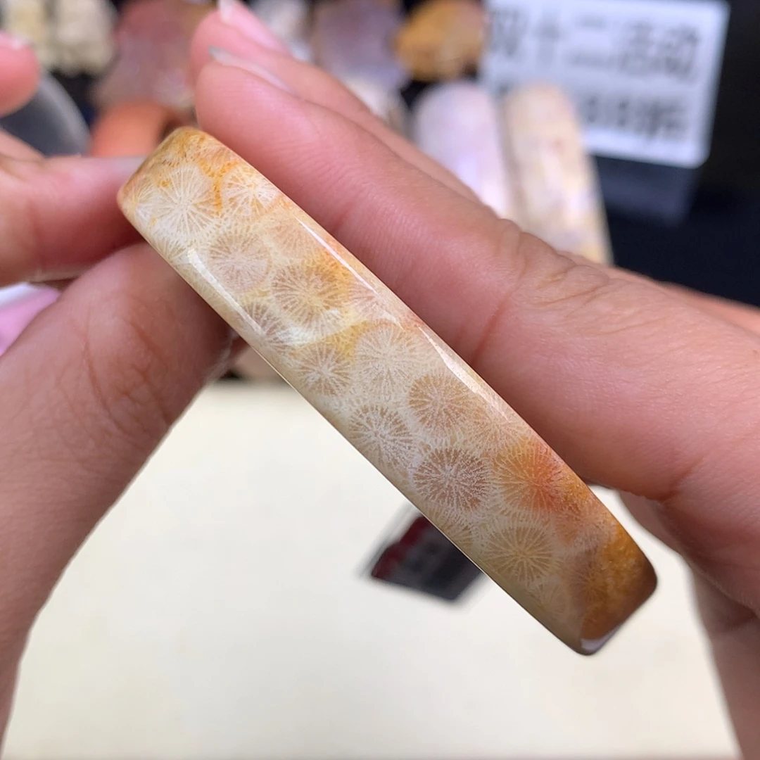 【闪购商品】颈饰未镶嵌硅化珊瑚（珊瑚玉）46号精美手镯55圈口