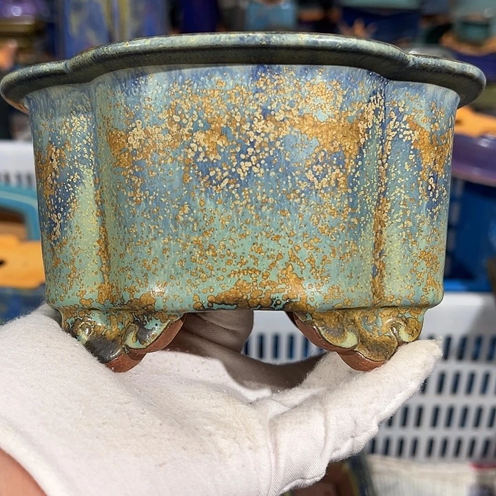 碗觉象原创作品欣赏