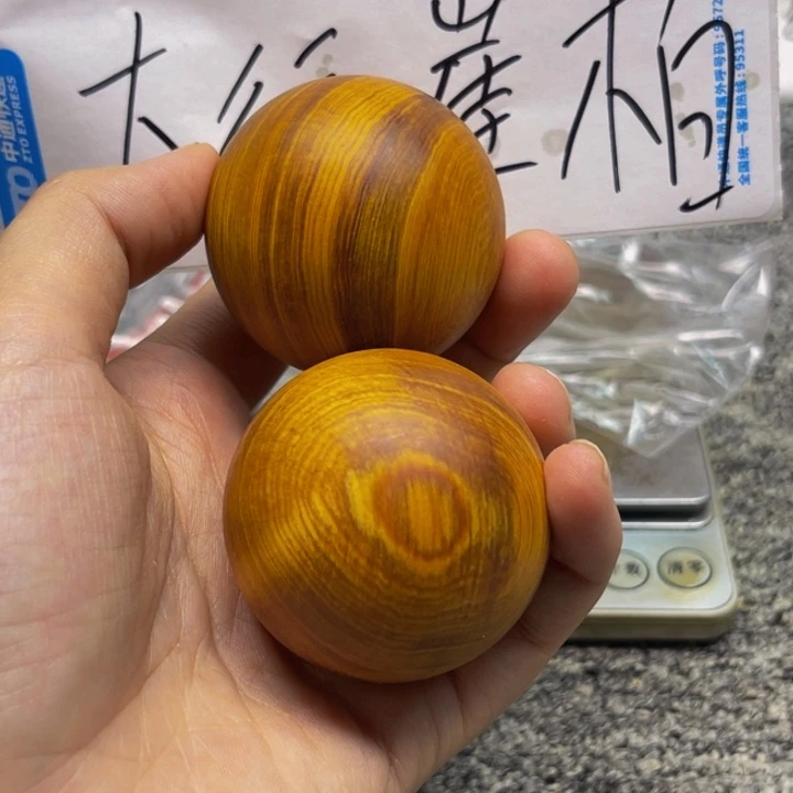 柏木（崖柏）崖柏159