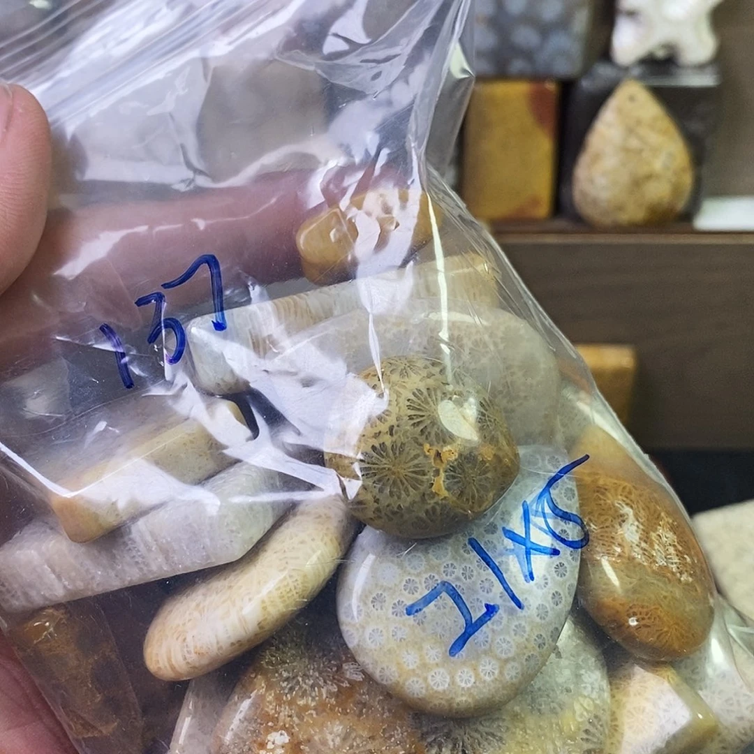 硅化珊瑚（珊瑚玉）吊坠未镶嵌1*7