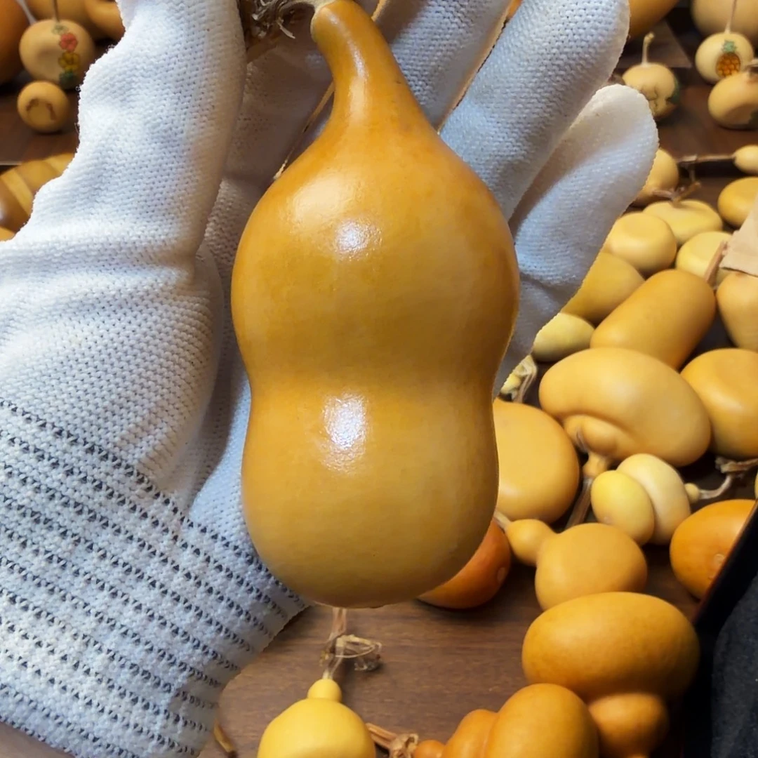 10纯天然真葫芦9.9包邮