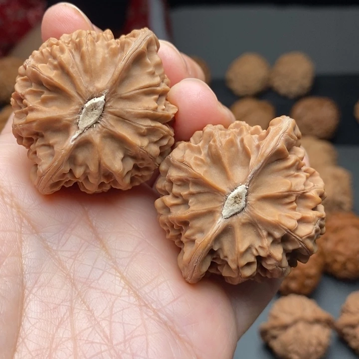 把件文玩核桃狗***纯宫灯45