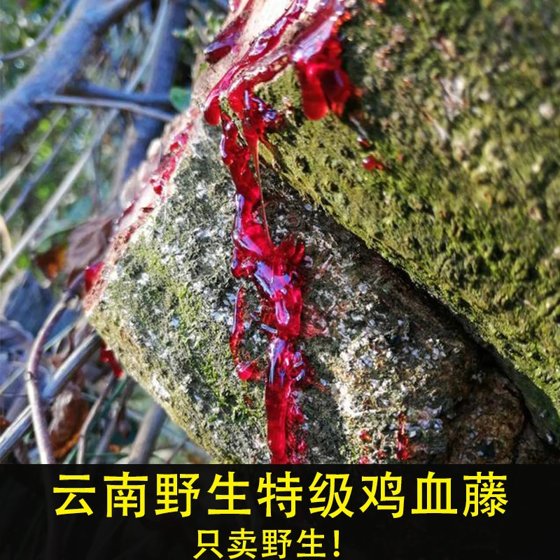 鸡血藤野生中药材老藤500g云南深山正宗特级切片鸡血藤泡茶水泡酒
