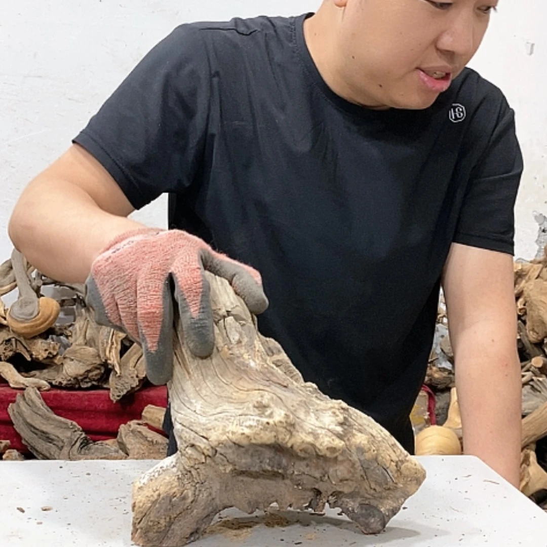 【闪购商品】柏木蓝*我们都在努力着改变自己和
