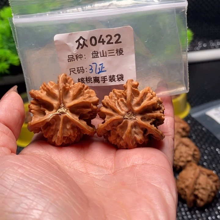 那***光桃核吊坠众0422-全品盘山37正