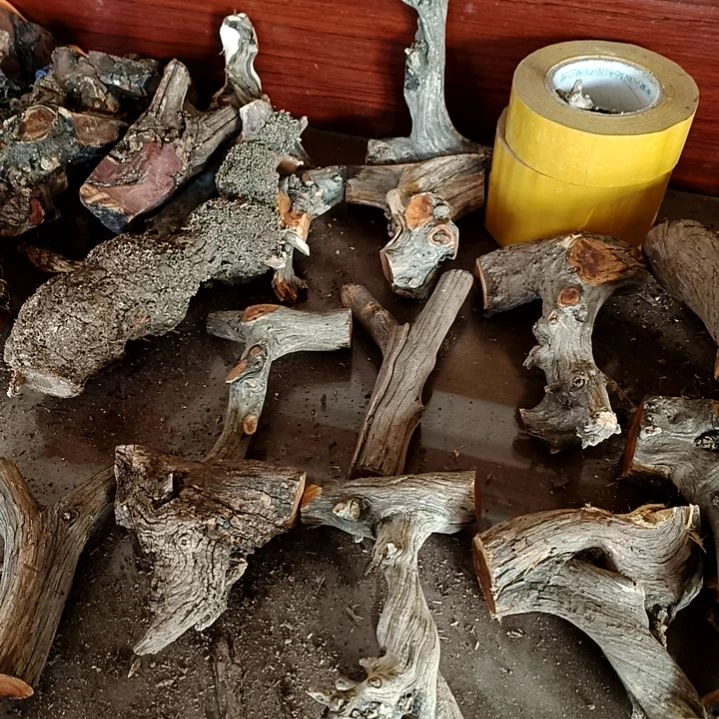 用***8香榧木崖柏随行毛料毛料毛料