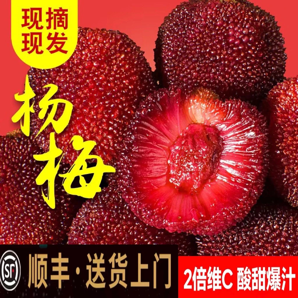 【省内顺丰速达】杨梅鲜果孕妇水果颗粒礼盒装山荸荠甜杨梅大粒