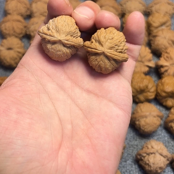 半***梦桃核把件32尺，白狮子