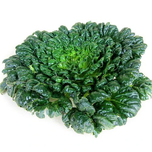 塔菜（称重）约280g *1份/份