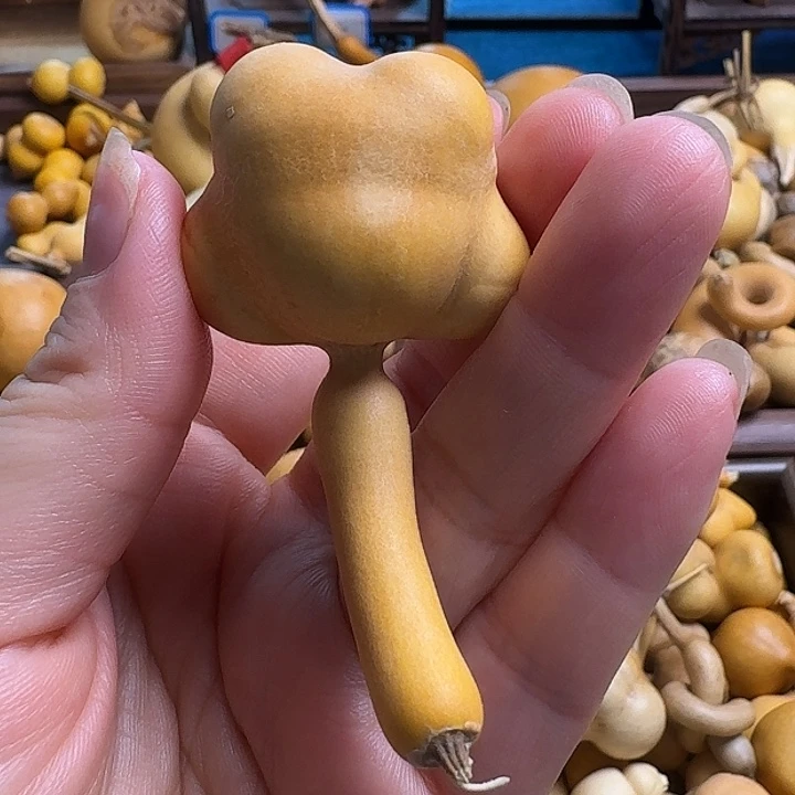 声***声我的小可爱们都好可爱