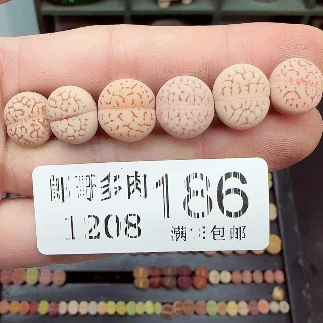 满满18包邮1208-186