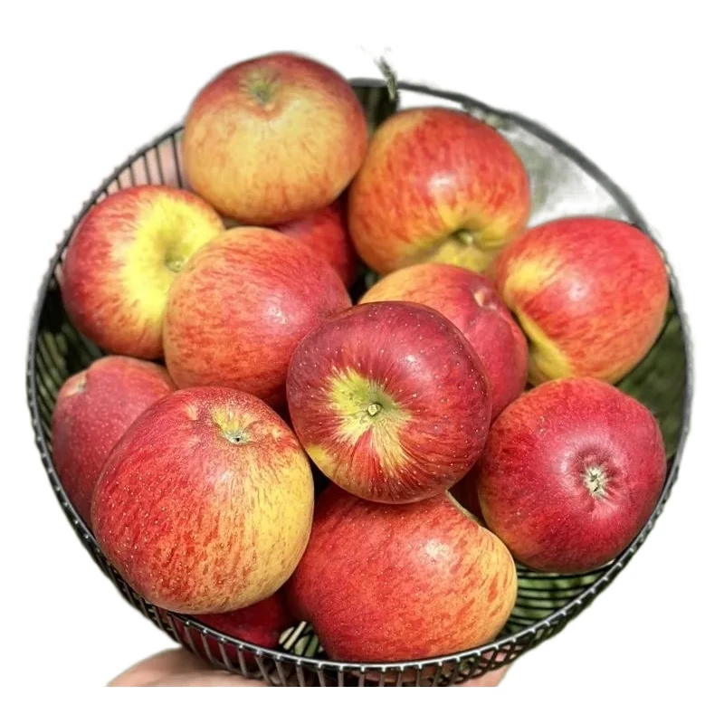 精品大果云南昭通丑苹果产地直发水果