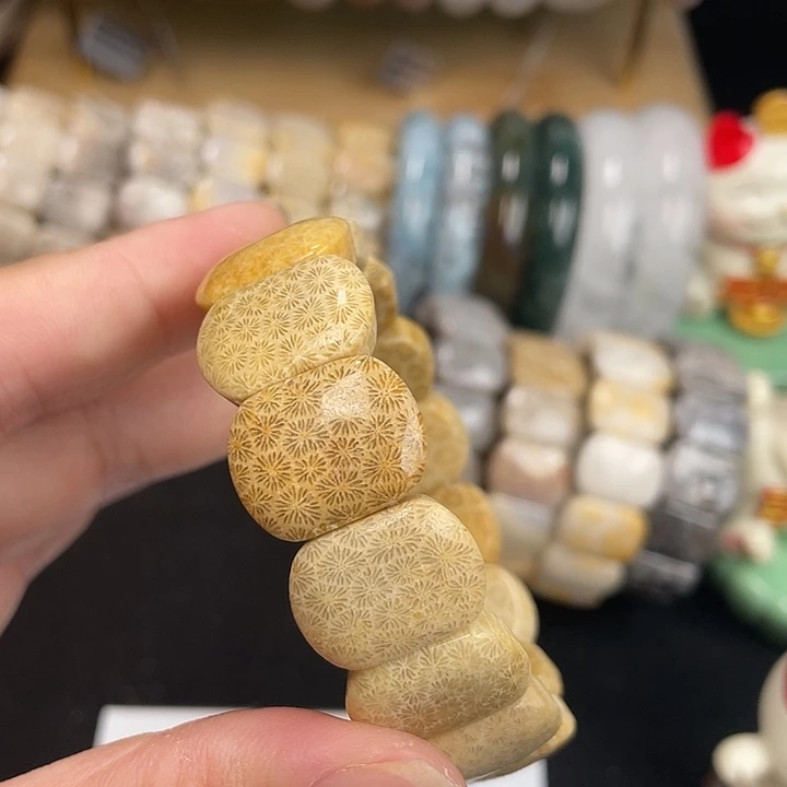 硅化珊瑚（珊瑚玉）未镶嵌手镯