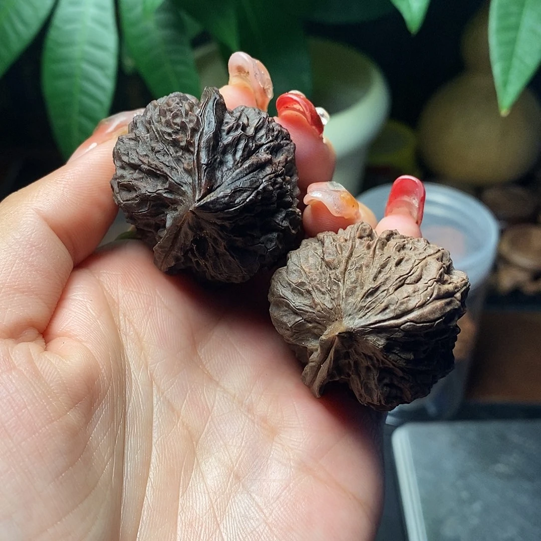 文玩核桃把件异形