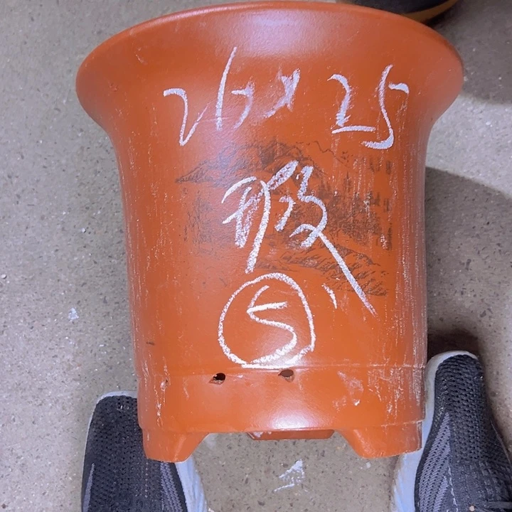 周深周深周深周深
