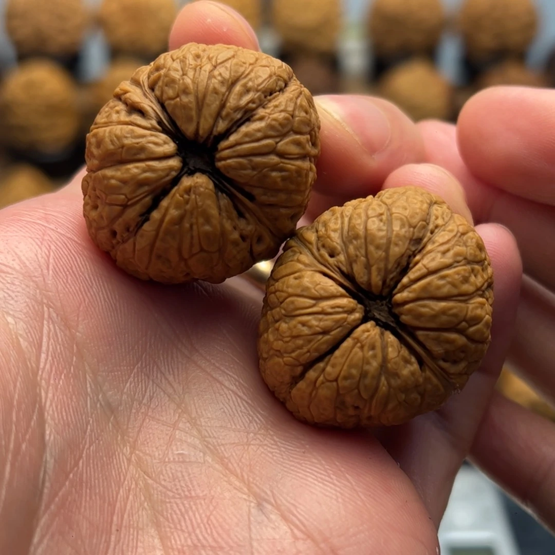 文玩核桃把件34mm钢炮