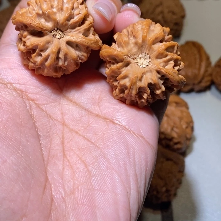地***贝手串/手链核桃龙门