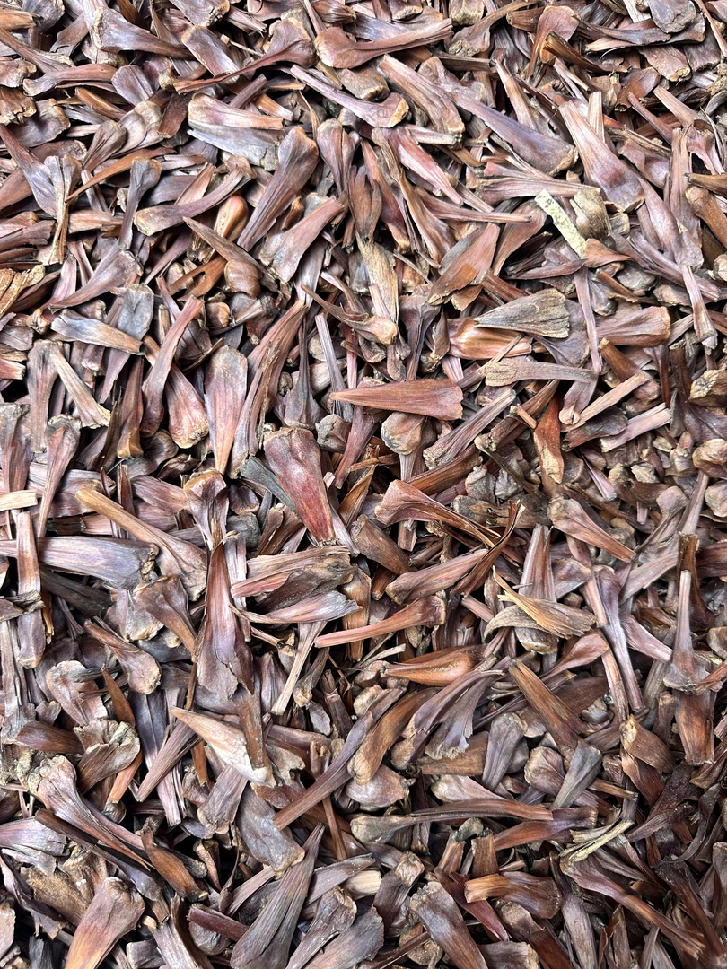 小黄土特产≈[不老花]非香菇