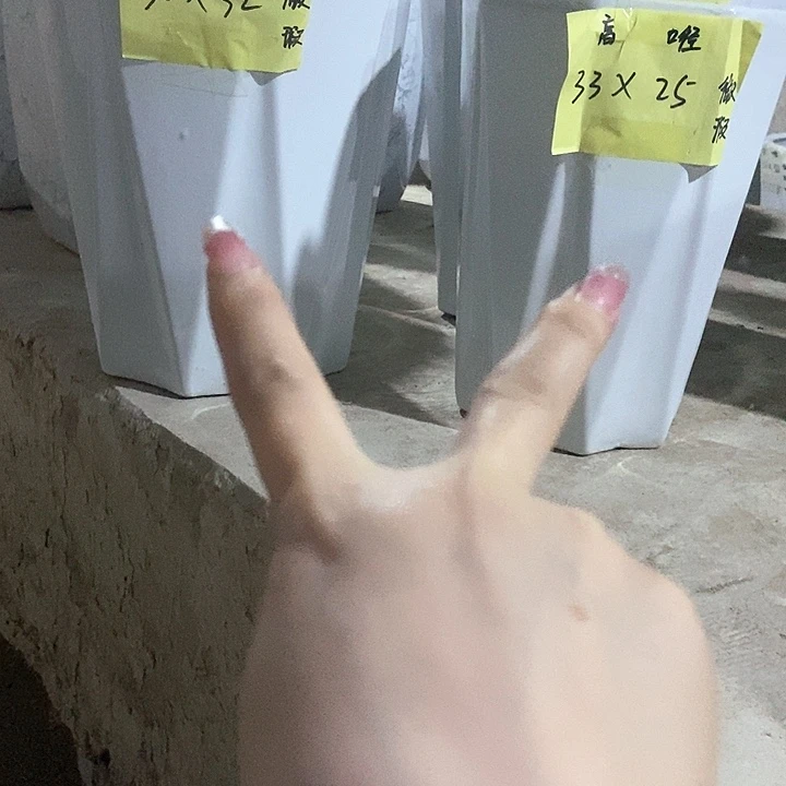 白八方大号➕中号两个