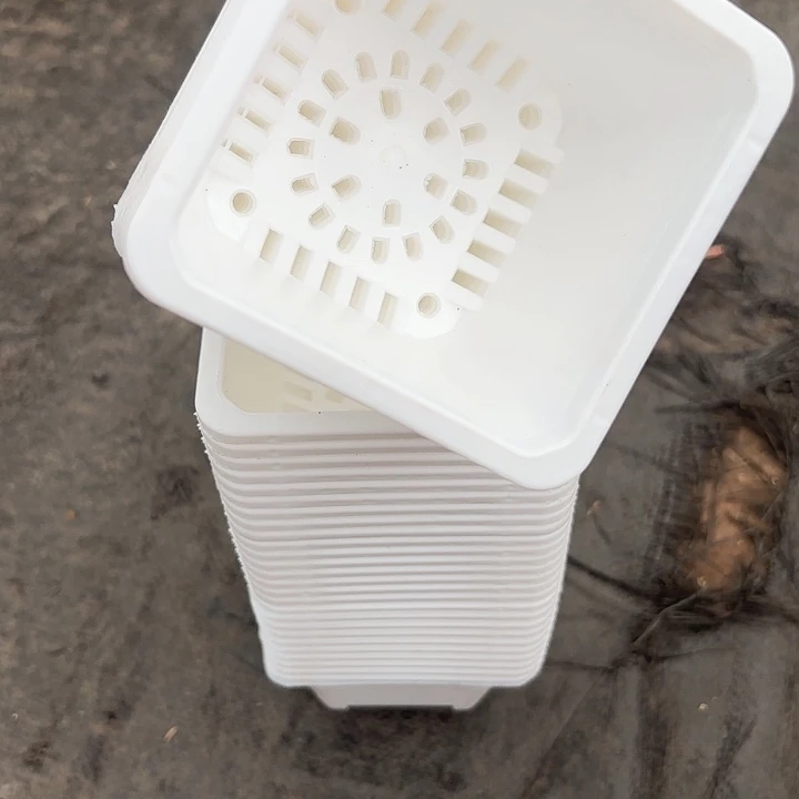 100白方盆9公分高7公分12个