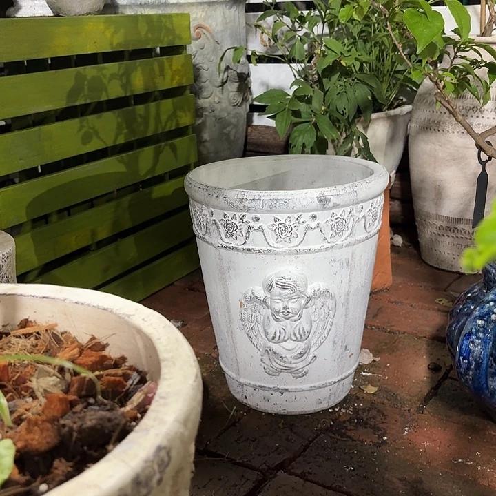 许纯的花房 天使花盆