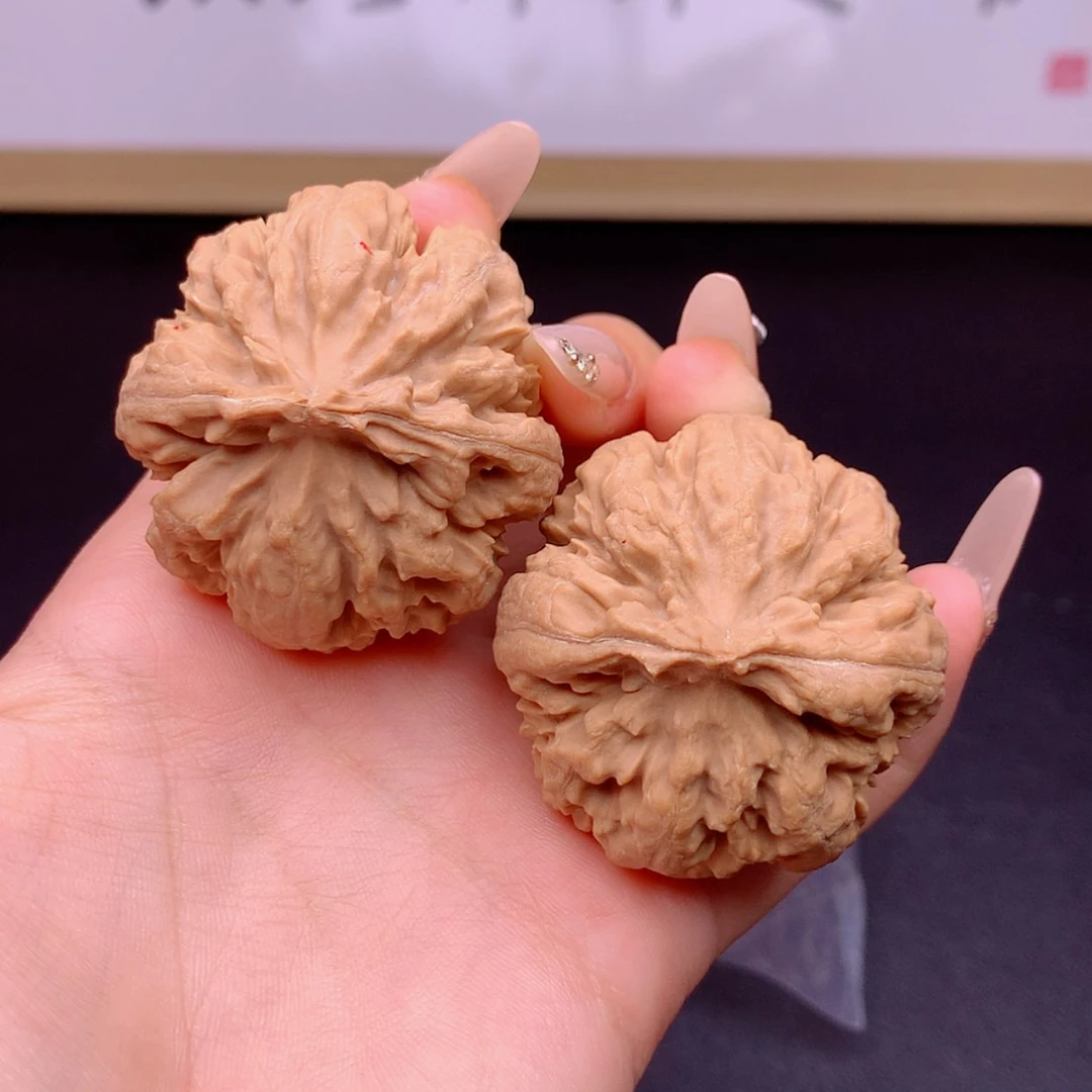 【闪购商品】文玩核桃把件霸王龙41➕