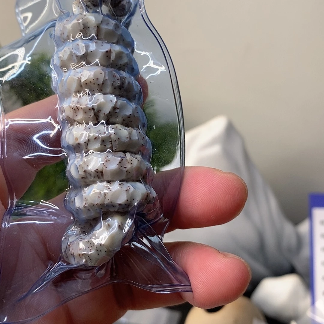 手串星月菩提石玉无相大肠7