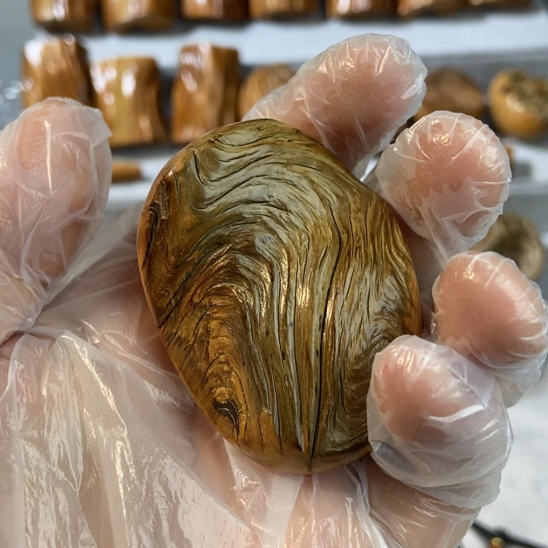 柏木（崖柏）一*太行崖柏