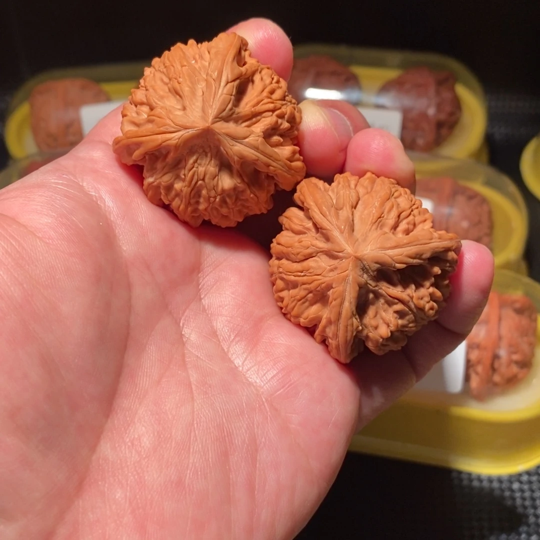 41全品御龙粗筋正球奔精品对