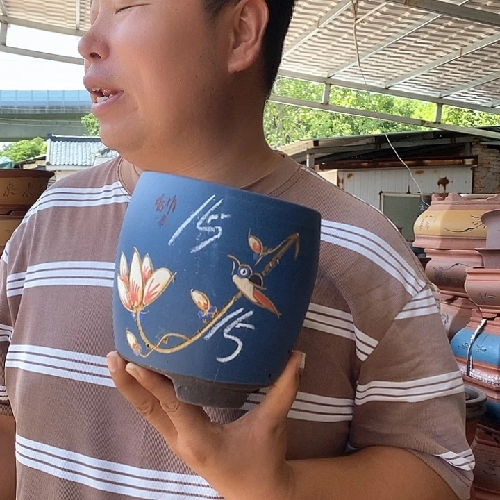 紫砂花盆盆栽花卉苗木种植