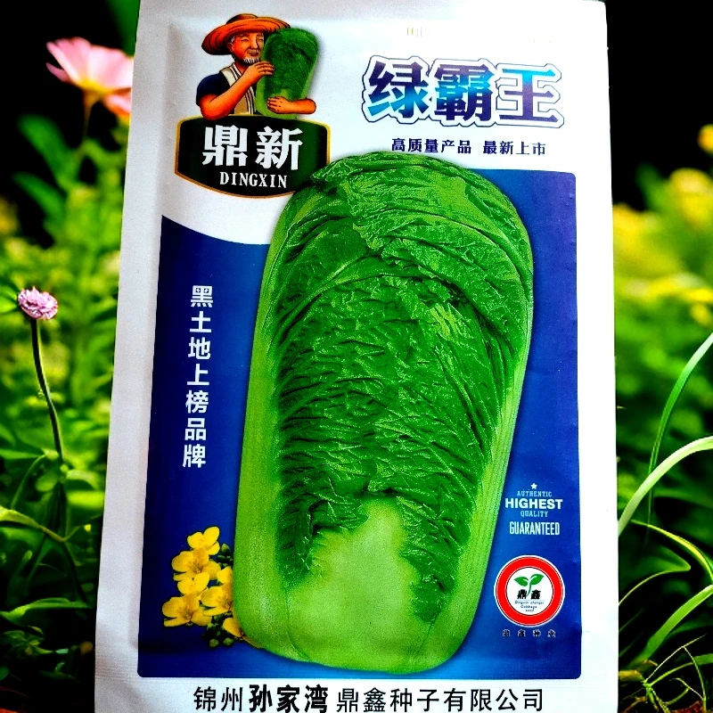绿霸王白菜的种子