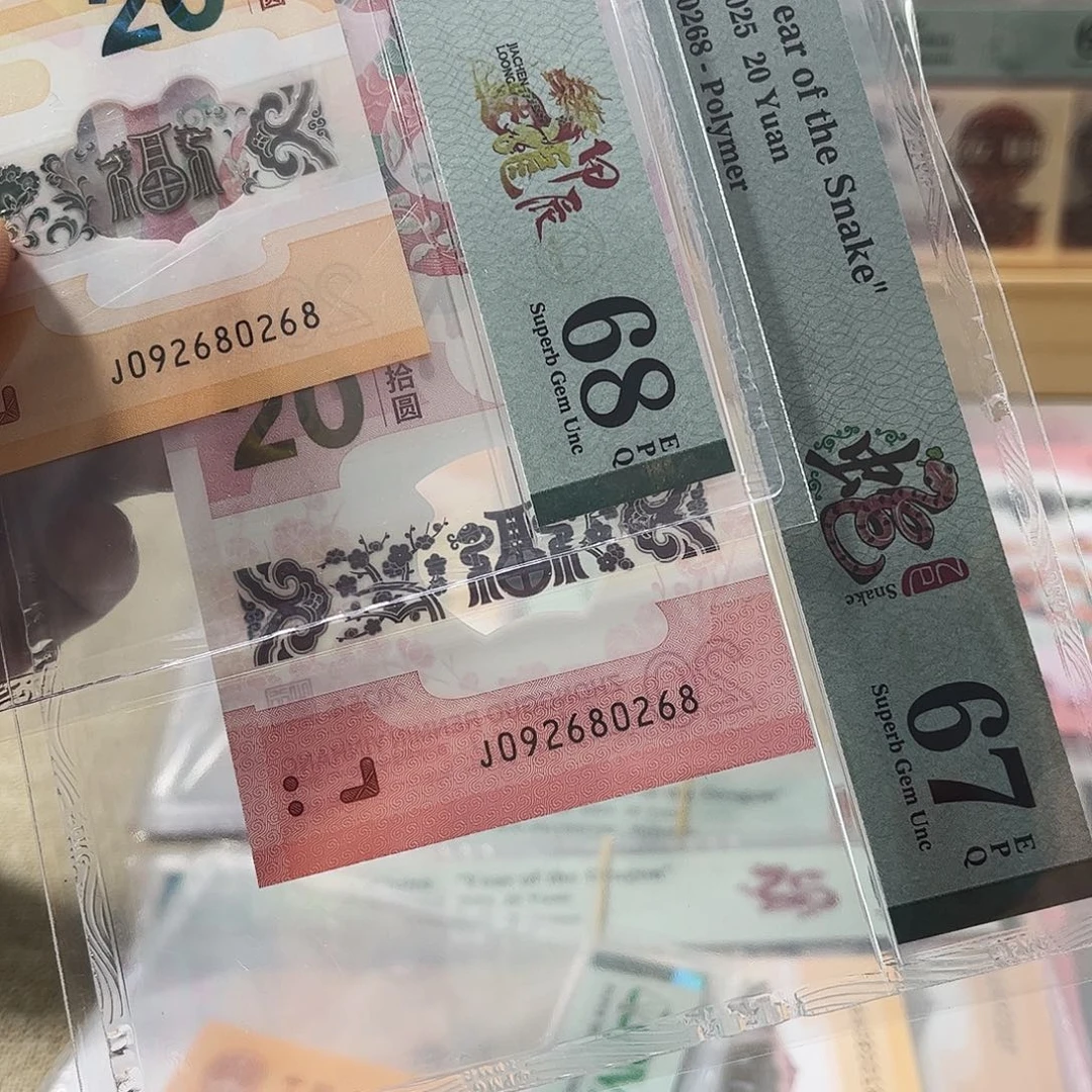 塑料龙蛇全同092680268