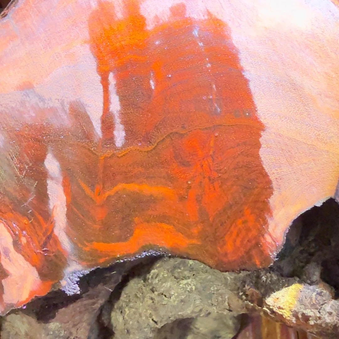 檀香紫檀（小叶紫檀）手串团购2.0圆珠大树头不退不换