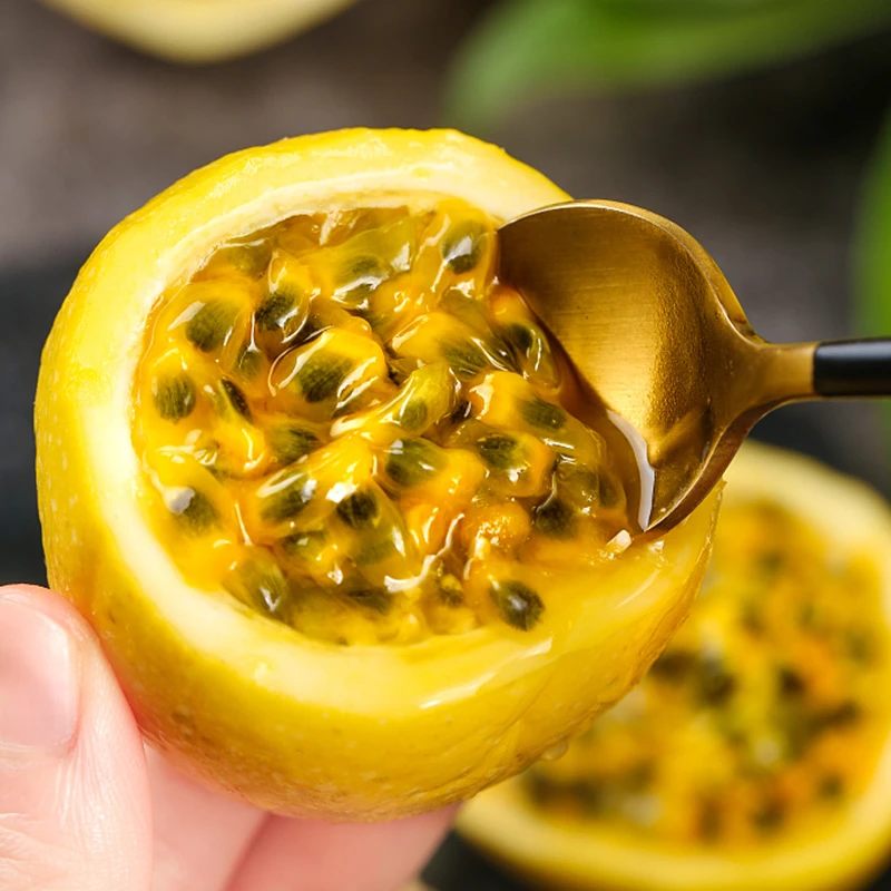 广西黄金百香果新鲜直发孕妇儿童正宗钦蜜九号当季水果c