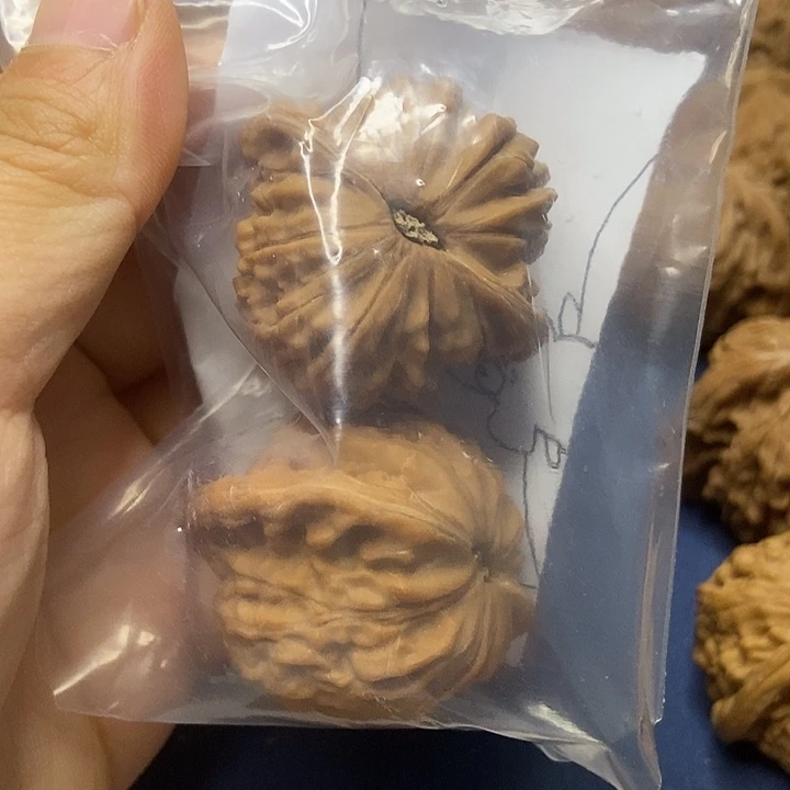 花***学文玩核桃   磨盘山地