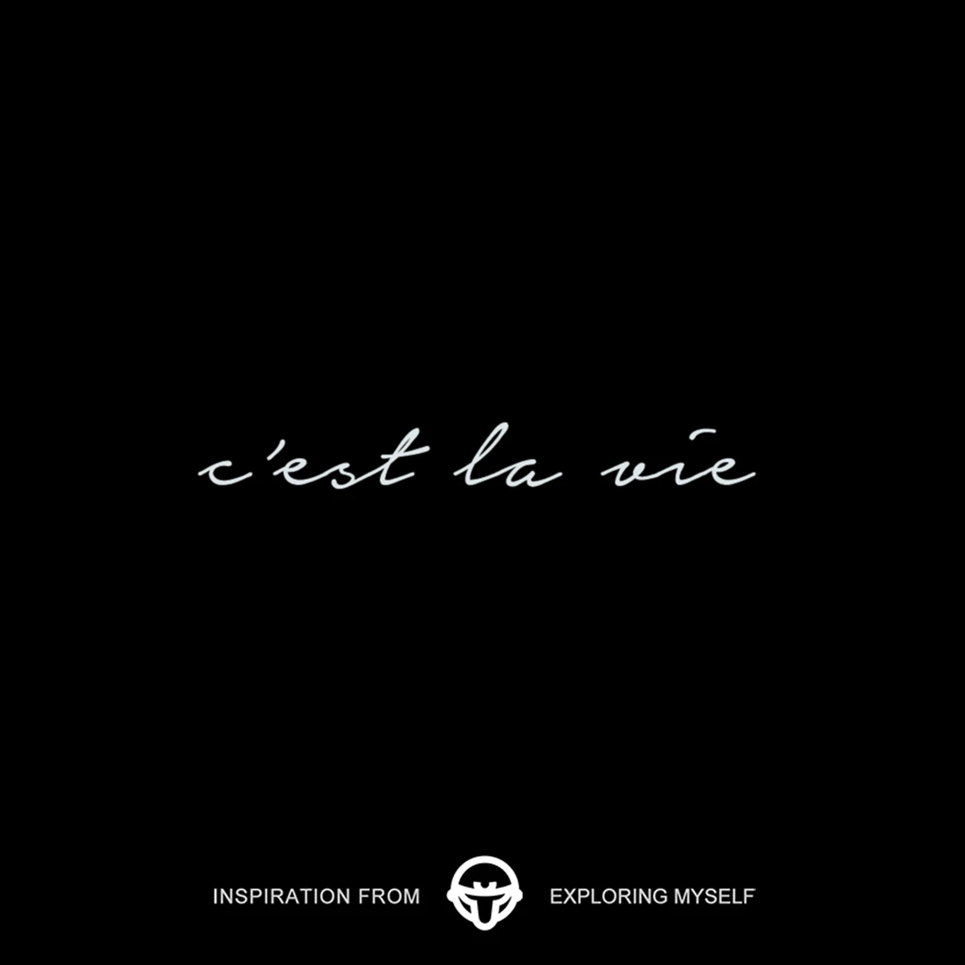 再变 这就是生活法语草本纹身贴植物纹身贴防水持久逼真 R358