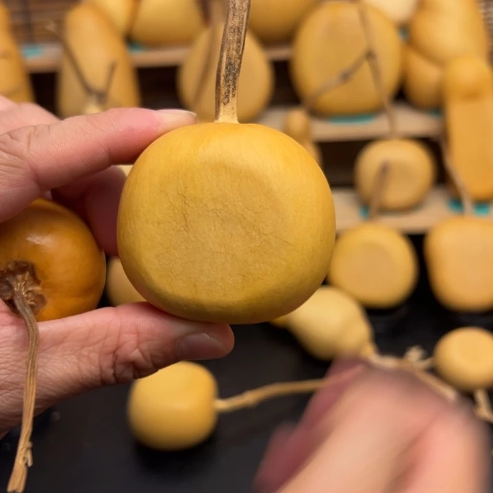 樱533666666666555599