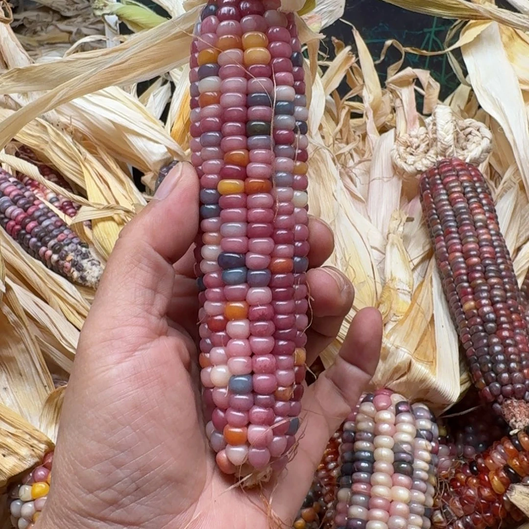 雾***里柏香籽/百香籽吊坠