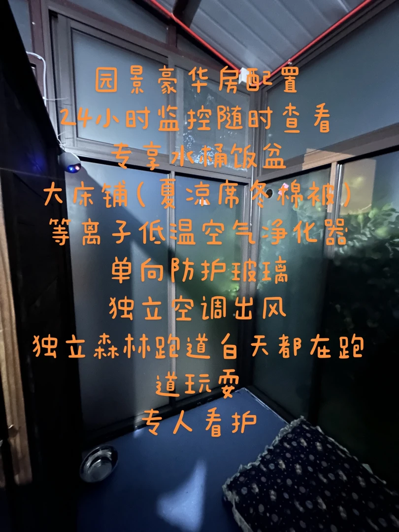 园景豪华房狗狗寄养代养（中大型犬）